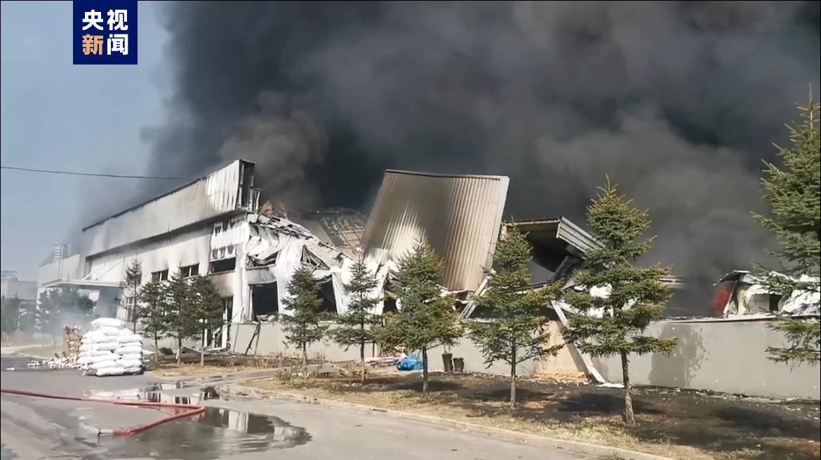 大阳城登录